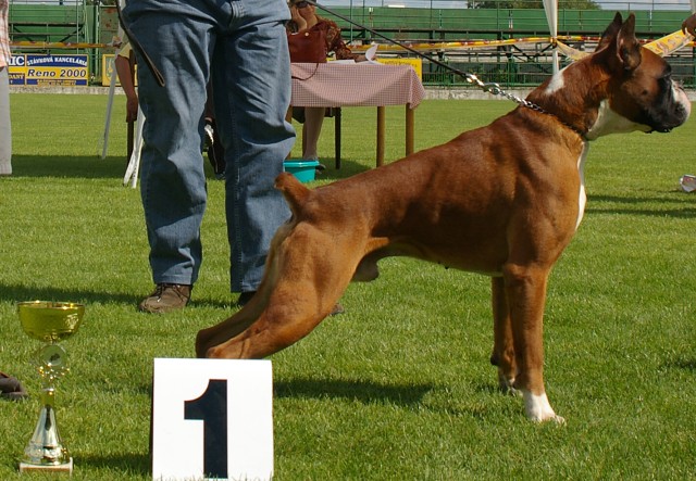 24. júna 2007 15:24:32
